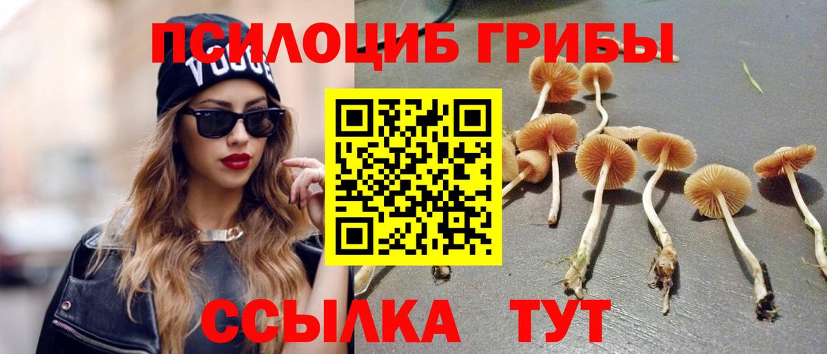 Псилоцибиновые грибы MAGIC MUSHROOMS  купить закладку  Чистополь  Вход с VPN 